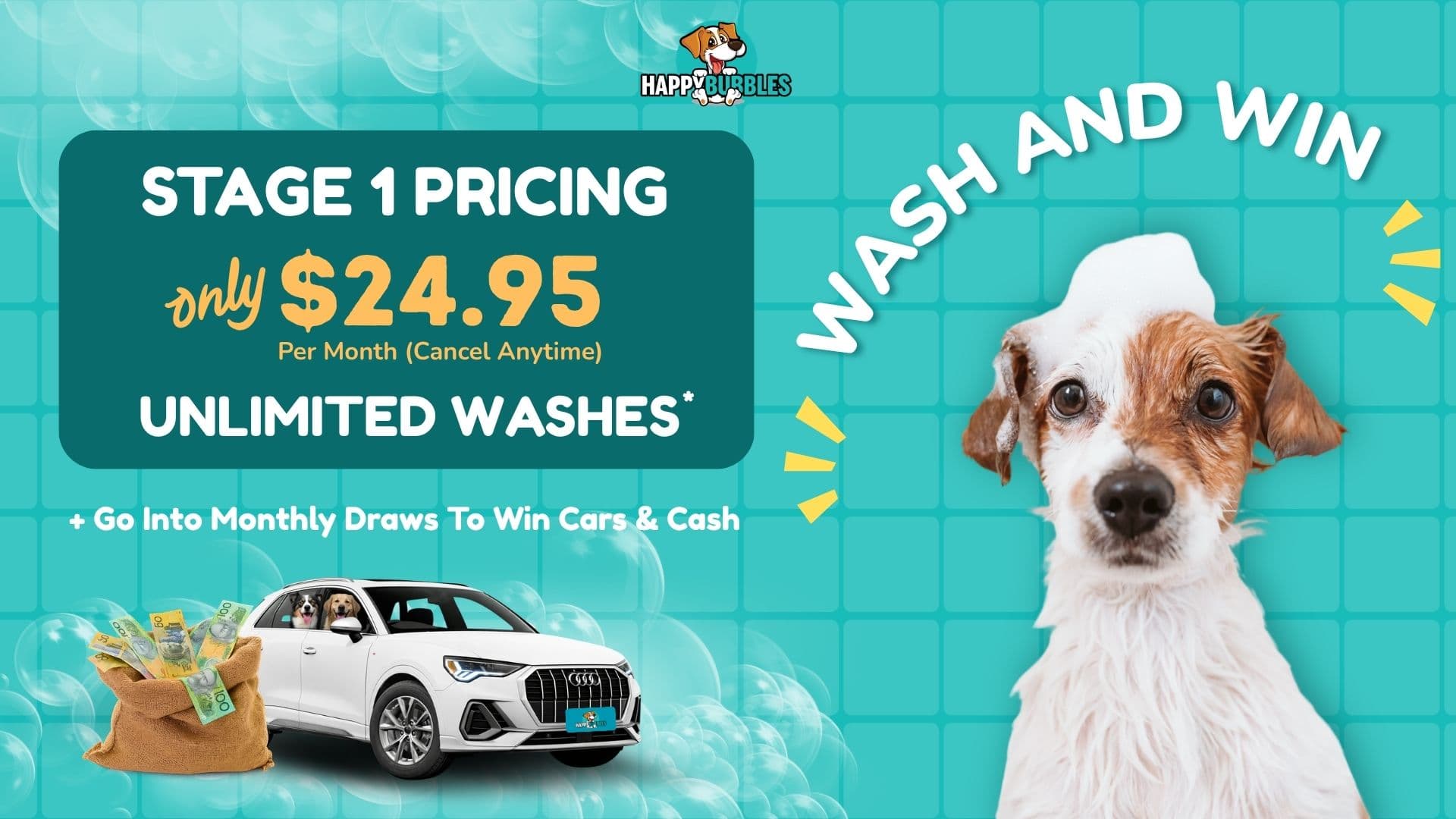 Dog Wash Memberships