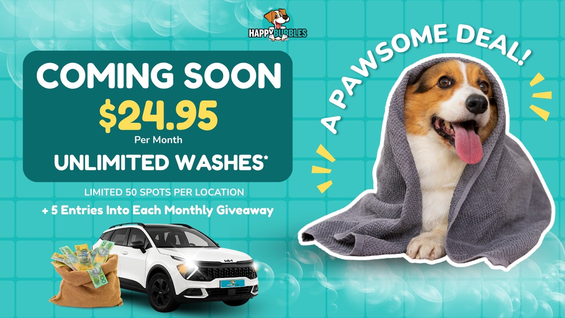 Dog Wash Memberships