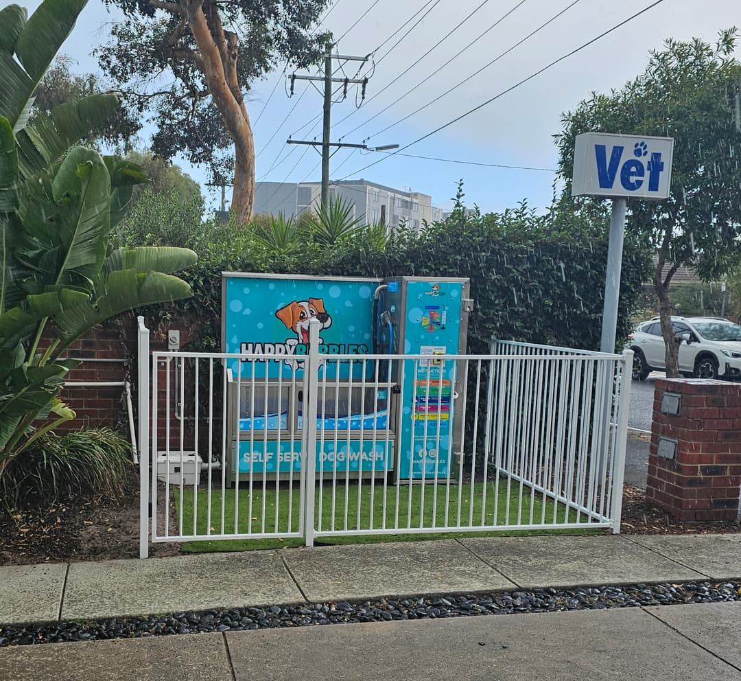 Image of Hampton VIC