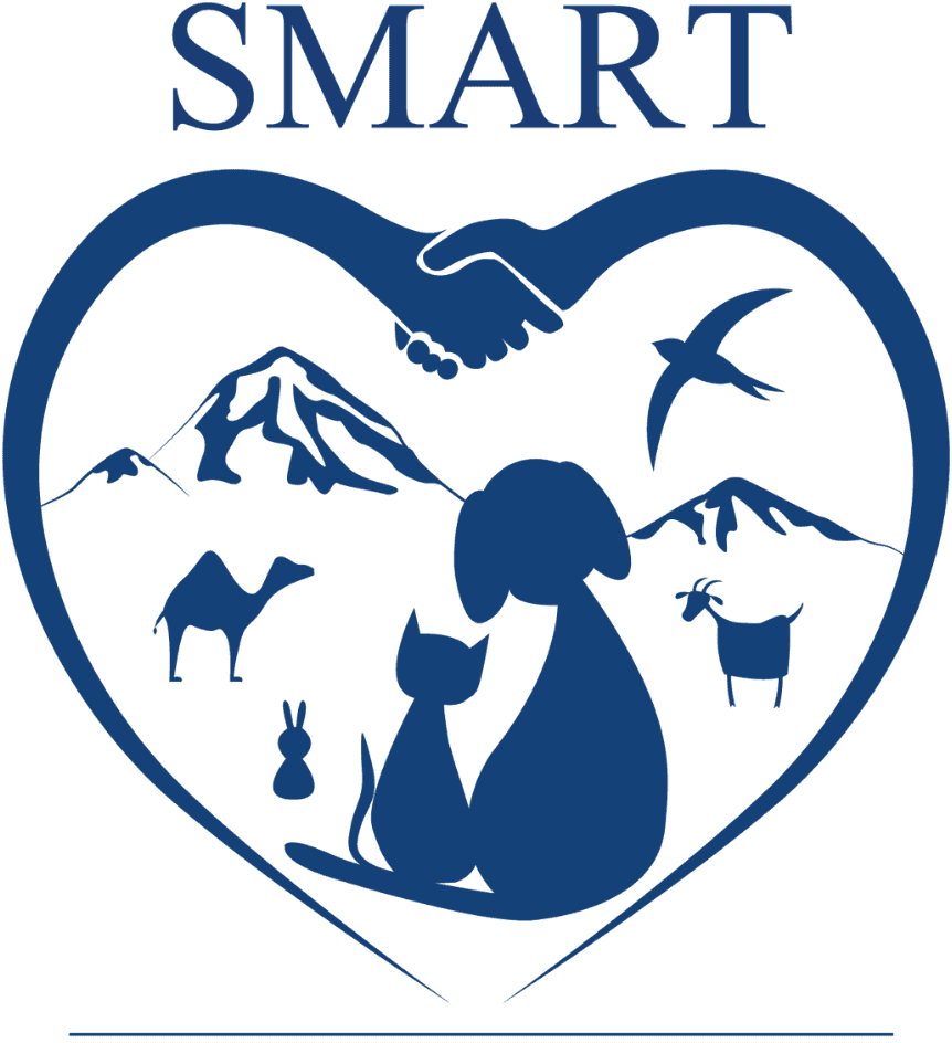 Smart
