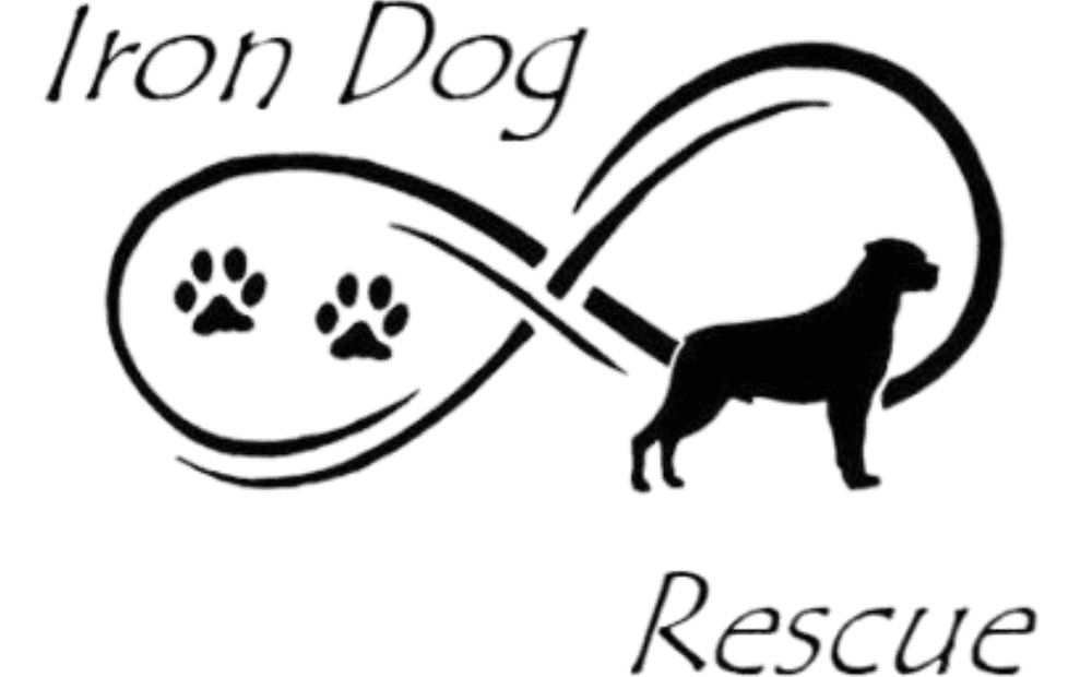 Iron Dog Rescue
