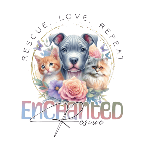 Enchanted Rescue