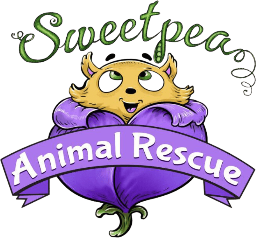 Sweetpea Animal Rescue