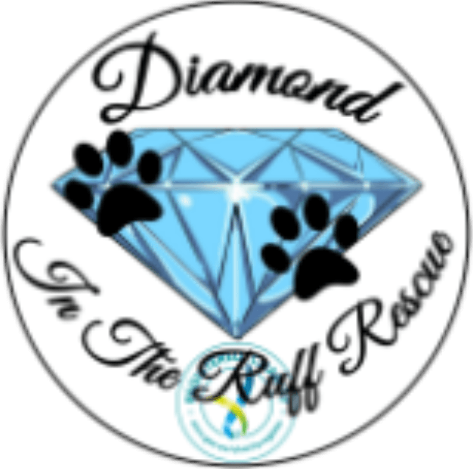 Diamon in the Ruff Rescue