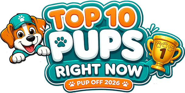 pup-off-top-10-header.png