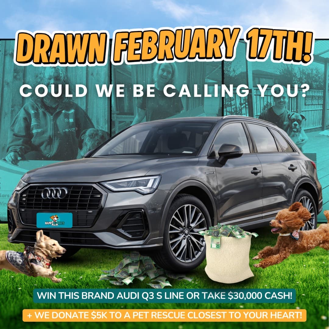 Win a Brand New Audi Q3 S-Line or $30,000 Cash