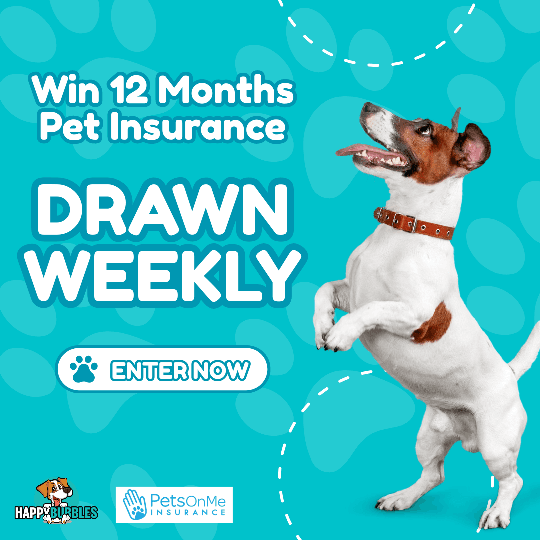 Win 12 Month Pet Insurance