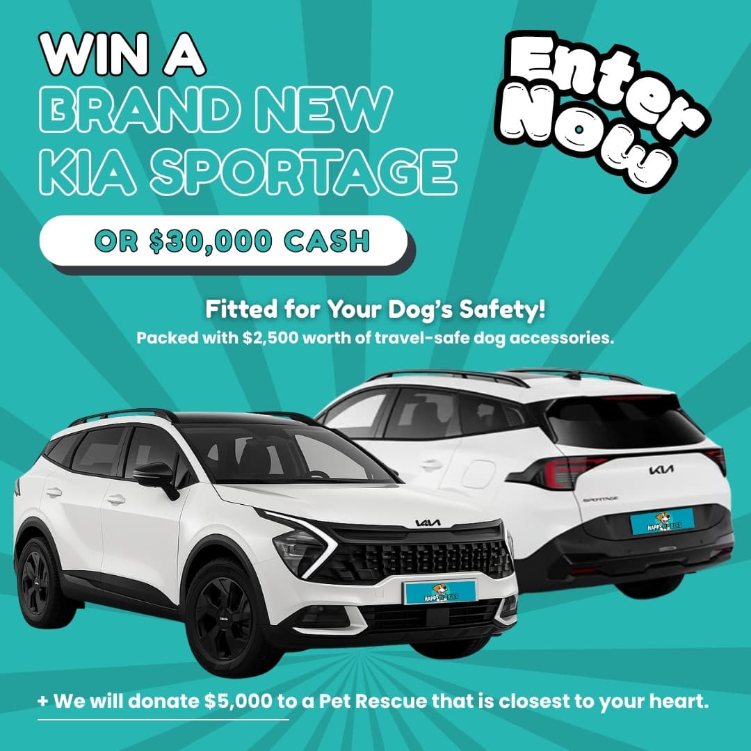 Rewards Club Promo