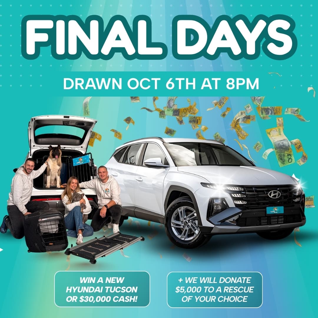 Rewards Club Promo