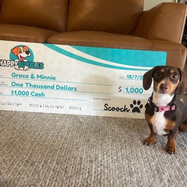Winner Photo