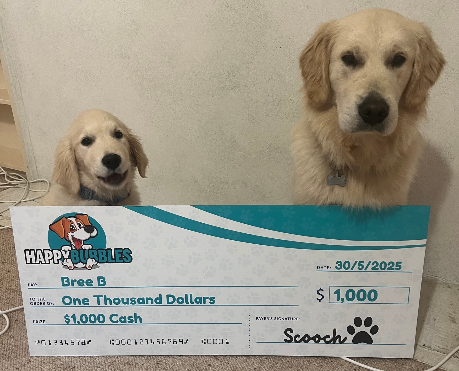Winner Photo