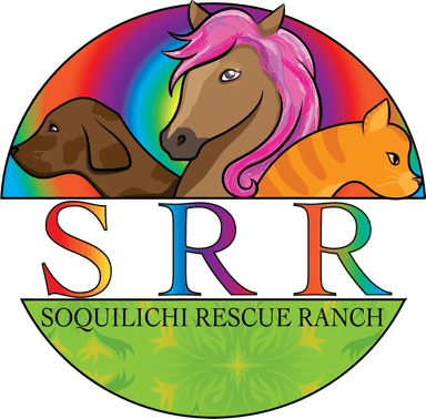 Soquilichi Rescue Ranch