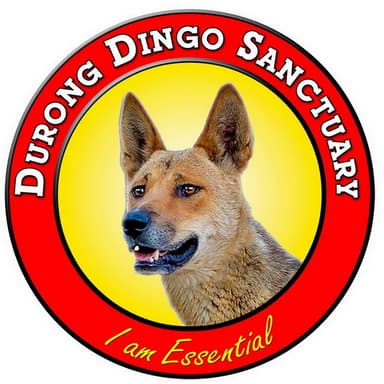 Durong Dingo Sanctuary