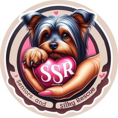 Seniors and Silky Rescue