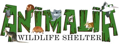 Animalia Wildlife Shelter