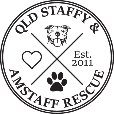 Qld Staffy and Amstaff Rescue
