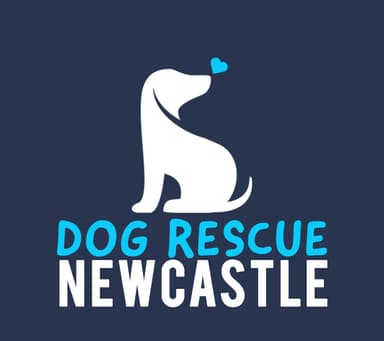 Dog Rescue Newcastle 