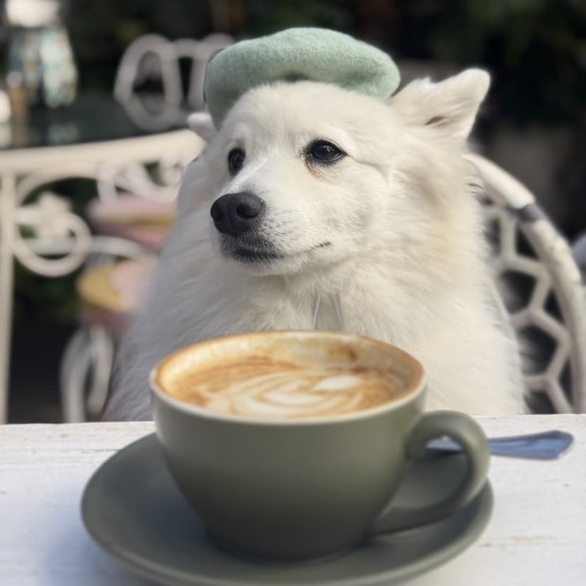 Kitsune