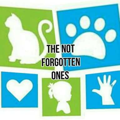 The Not Forgotten Ones