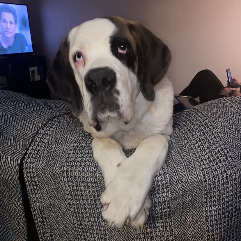 Cooper