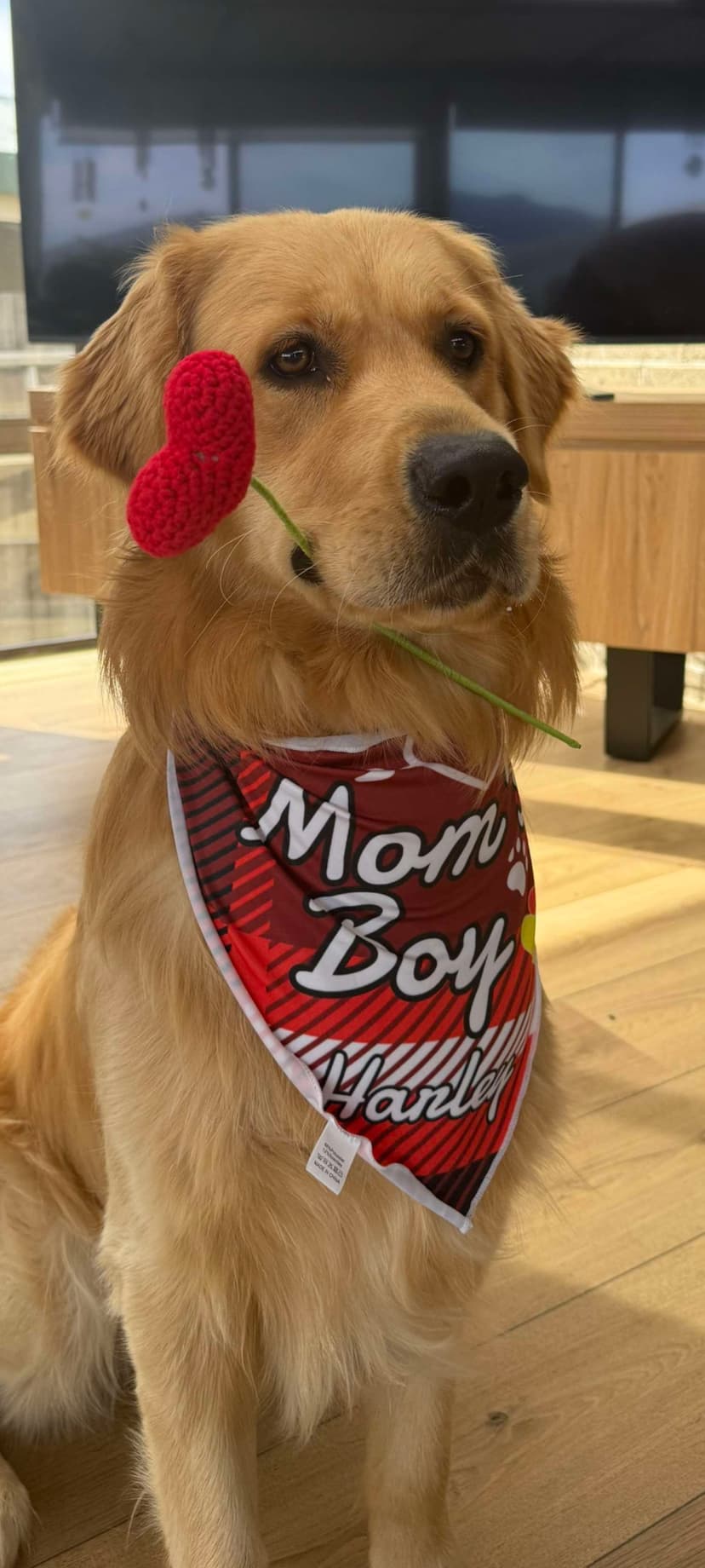 Harley
