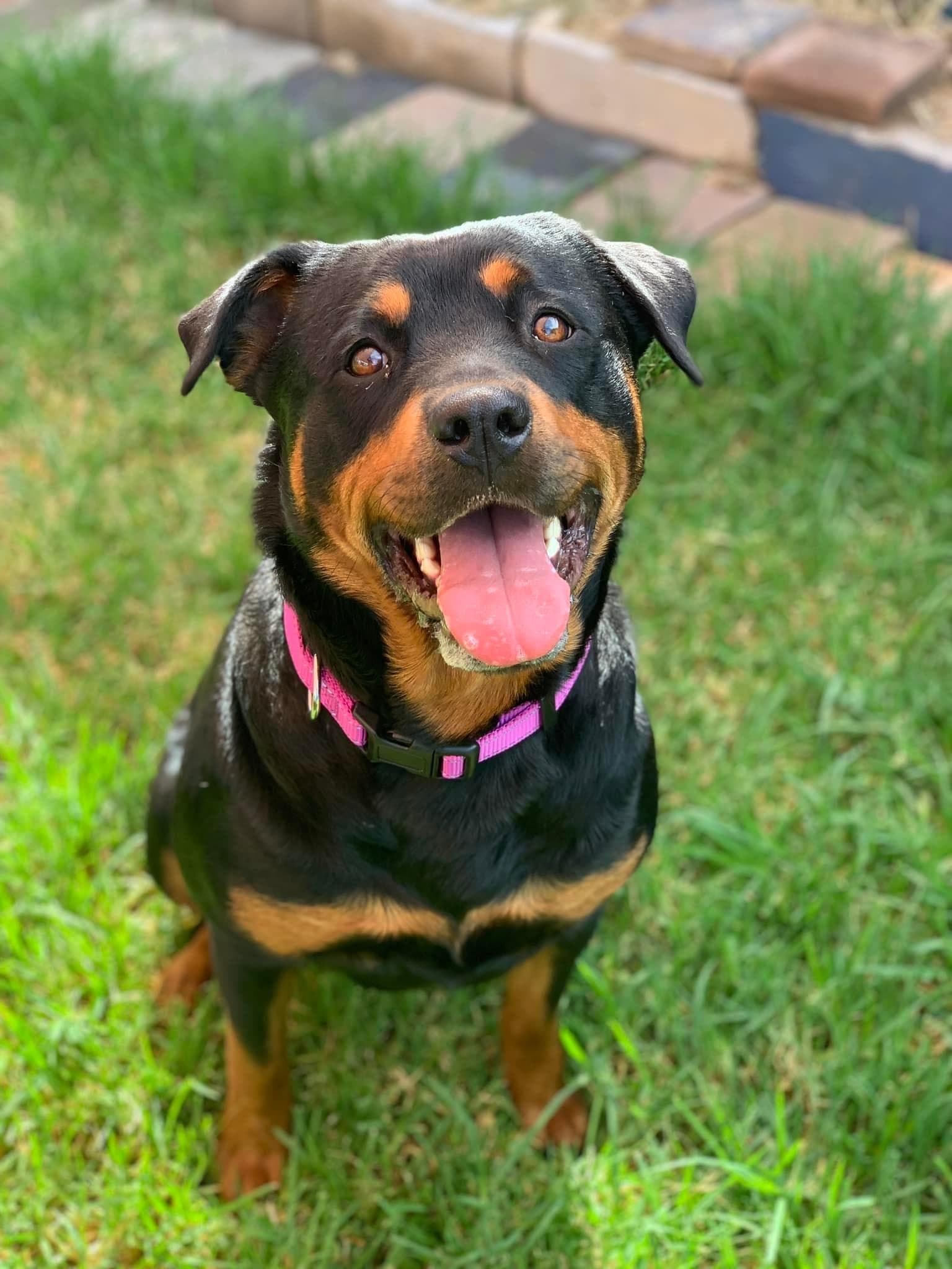 Nala