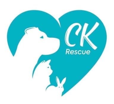 Companion Animal Rescue 