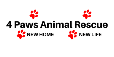 4 Paws Animal Rescue