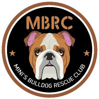 Mini's Bulldog Rescue Club Incorporated