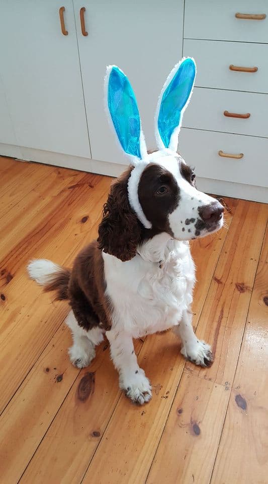 Milo