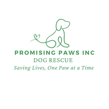 Promising Paws Inc Dog Rescue