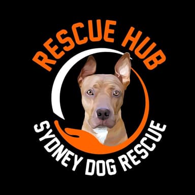 Rescue Hub