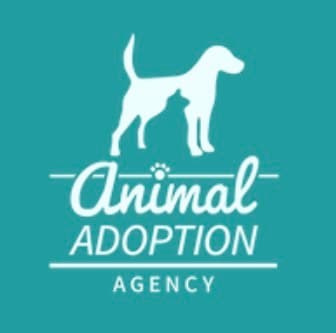 Animal Adoption Agency 