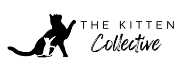 The Kitten Collective