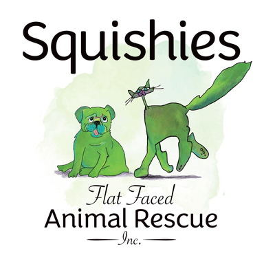 Squishies Flat Faced Animal Rescue