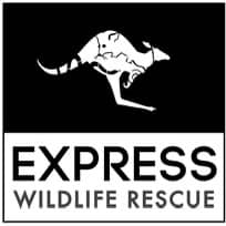 Express wildlife rescue and rehabilitation inc 