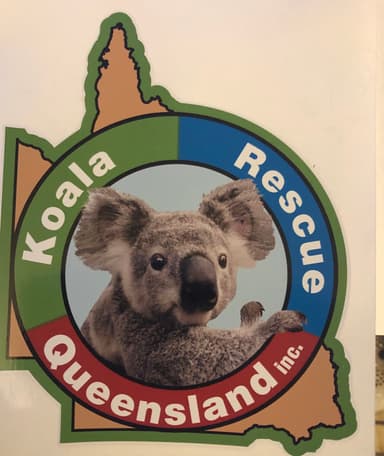 Koala Rescue QLD