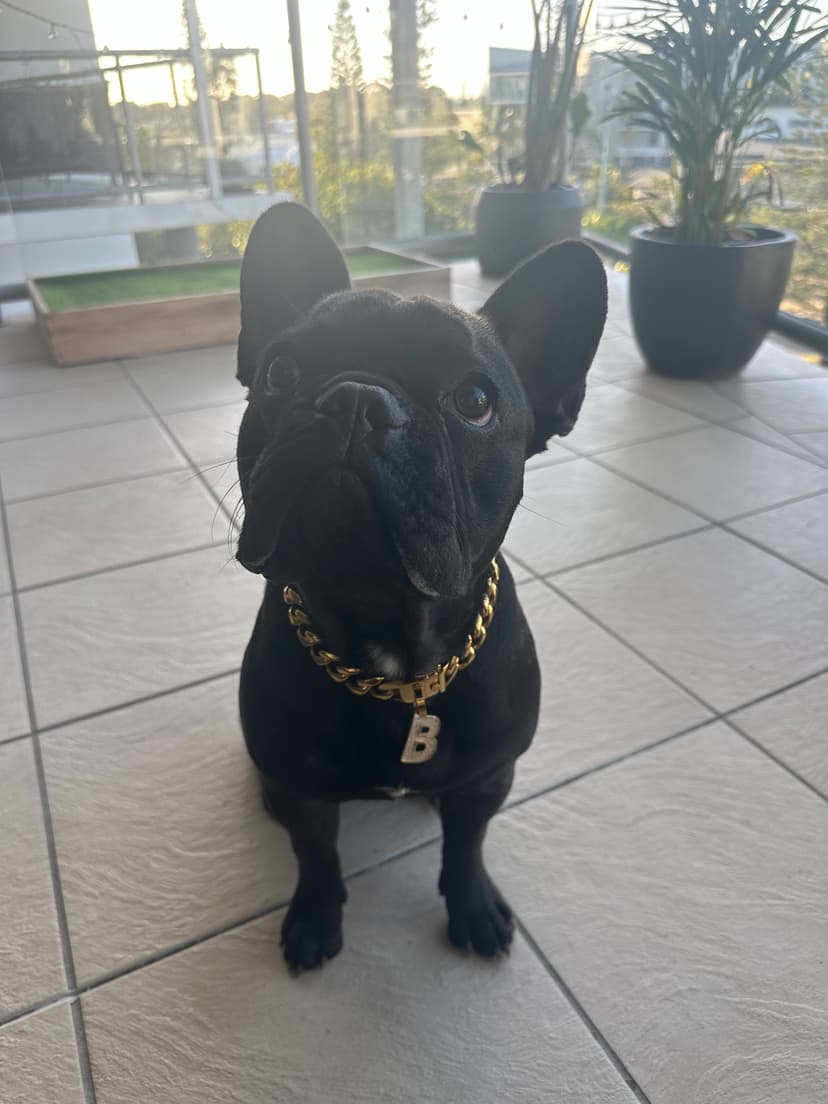 Boss