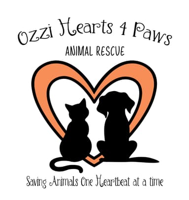 Ozzi Hearts 4 Paws