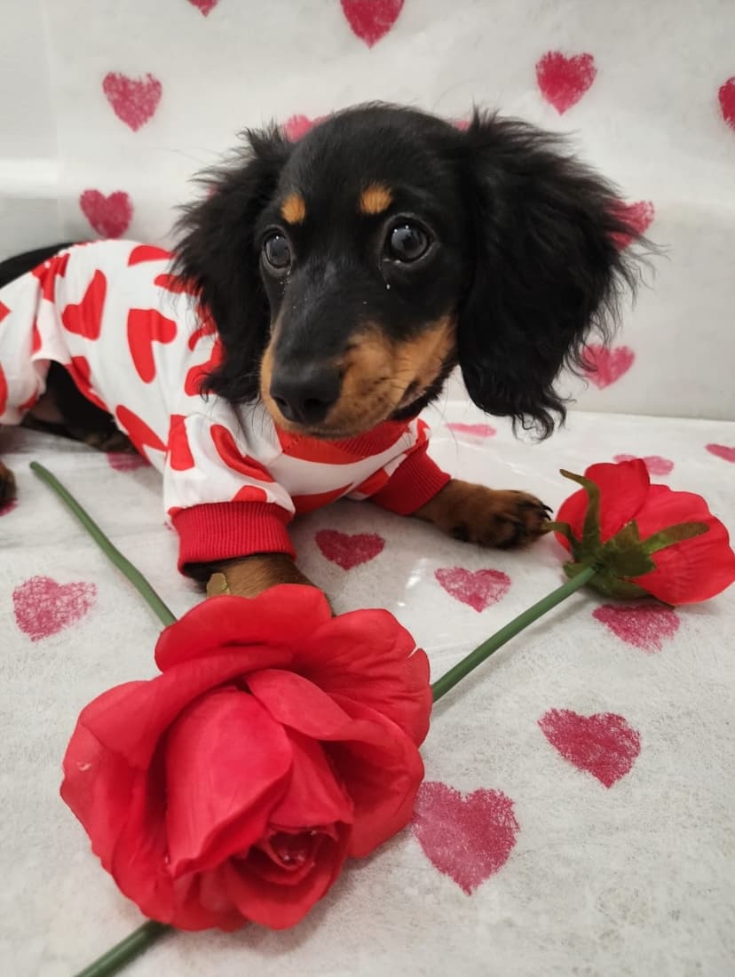 Maggie