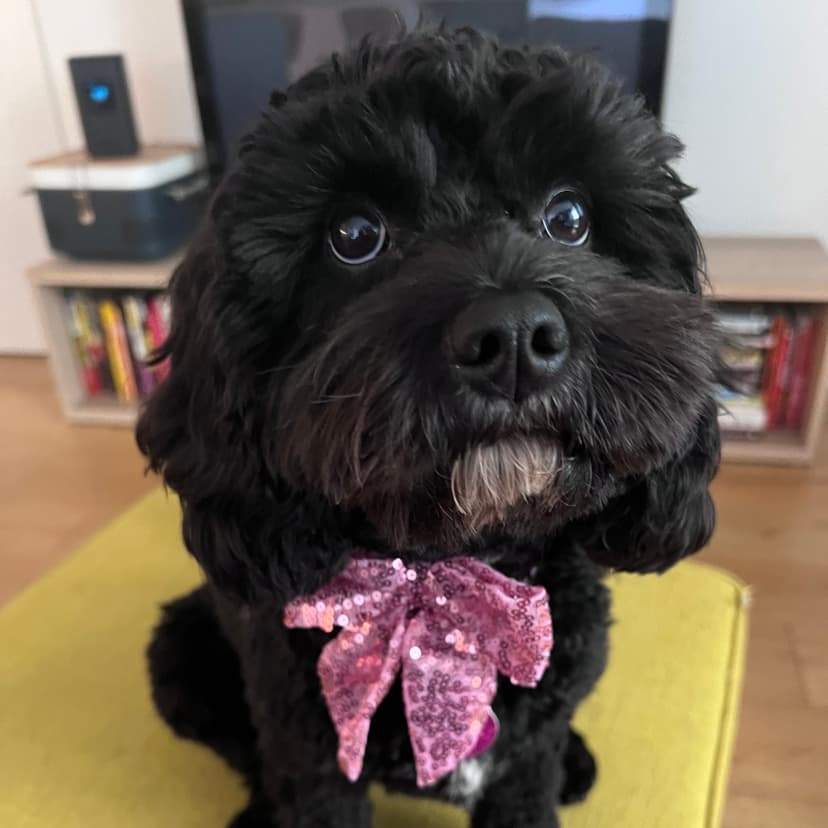 Ruby