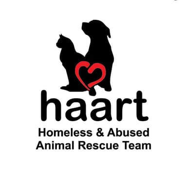 Homeless and Abused Animal Rescue Team