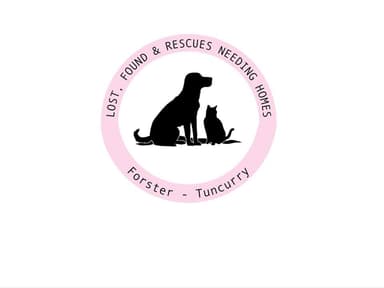 Lost, Found and Rescues needing homes Forster-Tuncurry 