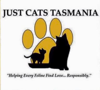 Just Cats Tasmania 