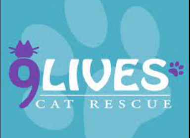 9 Lives Cat Rescue