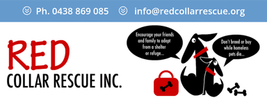 Red collar rescue inc