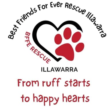 Best Friends For Ever Rescue Illawarra 