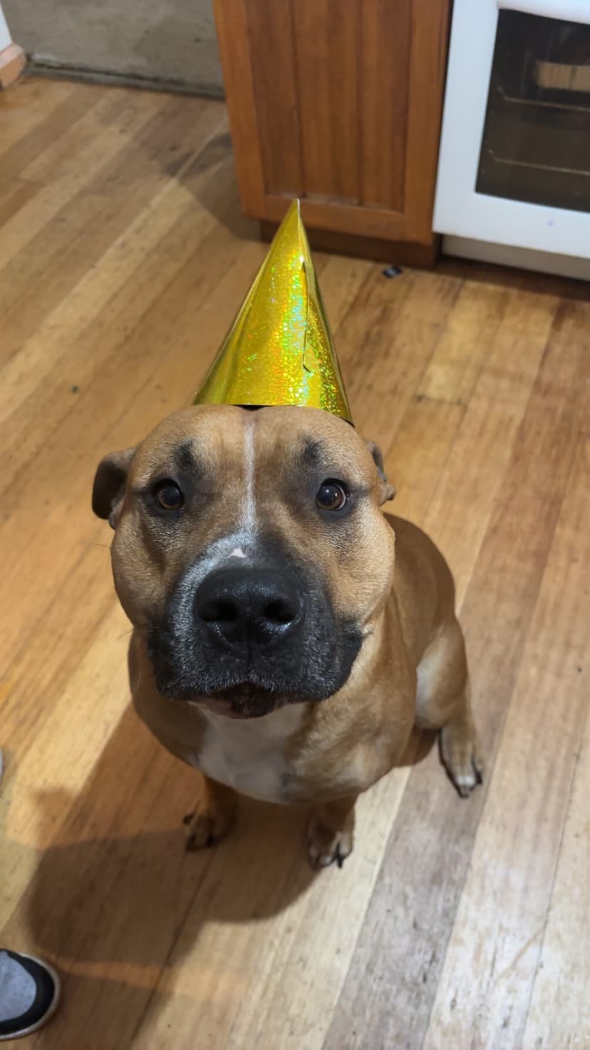 Scooby