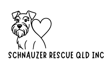 Schnauzer Rescue Qld Inc