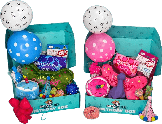 Birthday Box